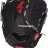 14 Inch Rawlings Renegade R140BGS Adult Slowpitch Softball Glove