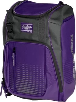 Rawlings Franchise Personal Equipment Backpack FRANBP -Rawlings Shop rawlings franchise personal equipment backpack franbp 57